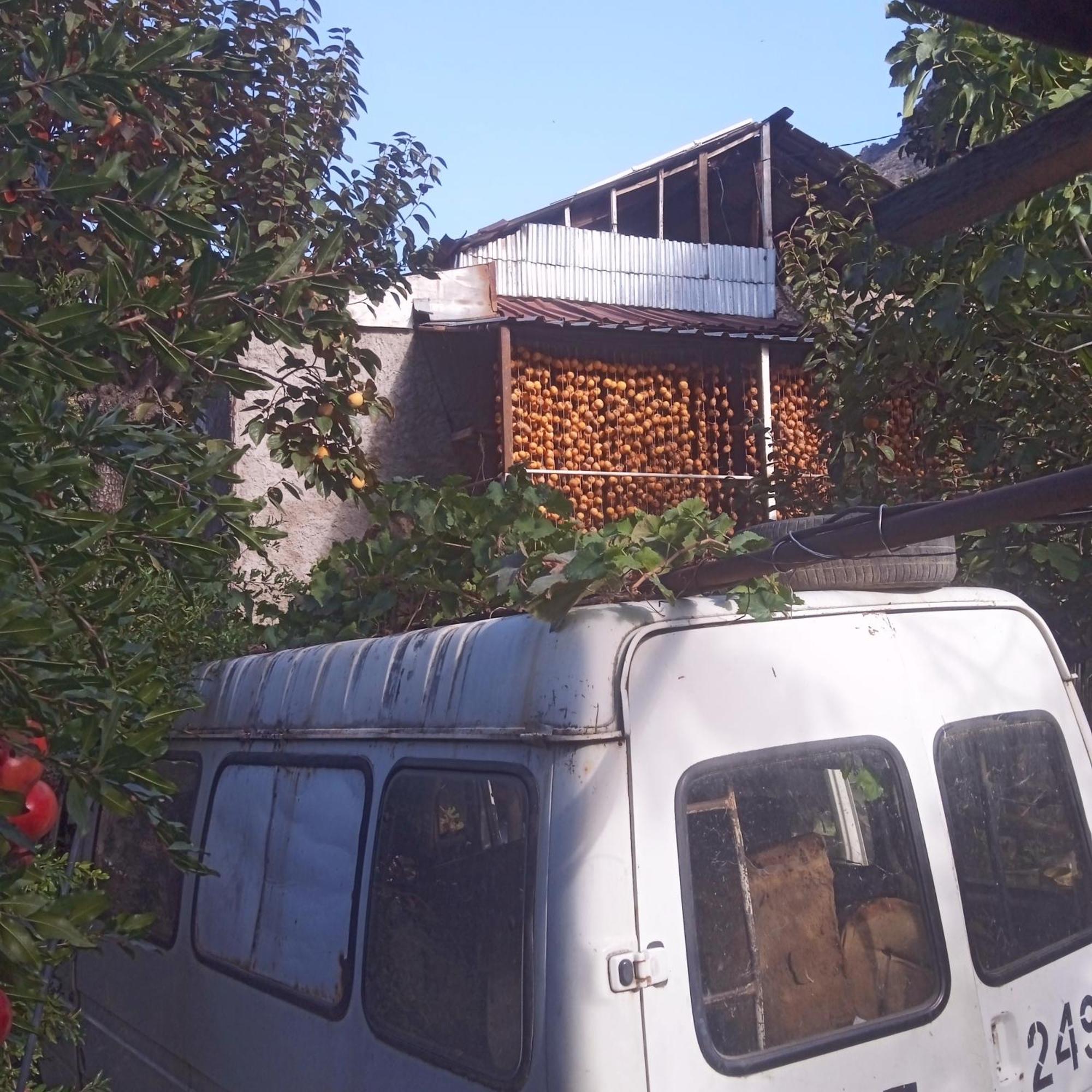 Homestay Mrganush Meghri